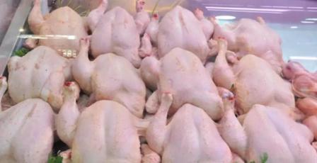 خاص | غلاء أسعار الدواجن في رمضان.. أزمة إنتاج أم فوضى تسعير؟