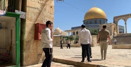 محافظة القدس: دمج جماعات "الهيكل" داخل شرطة الاحتلال بالأقصى يمثل تصعيداً خطيراً