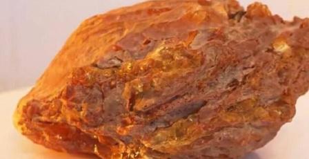 روسيا.. العثور على قطعة كهرمان وزنها 1.5 كيلوغرام