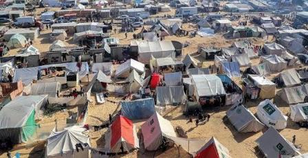 خاص | حرب القوارض والأوبئة تلاحق نازحي غزة وسط تفاقم الكارثة