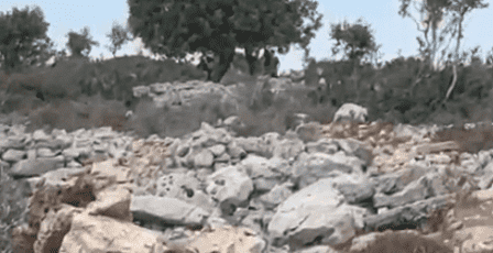مستوطنون يشرعون بإقامة خيمة في منطقة الظهور شمال غرب سلفيت