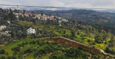 الاحتلال يصدر أمرا عسكريا يستهدف إزالة الأشجار من 99 دونما في دير نظام
