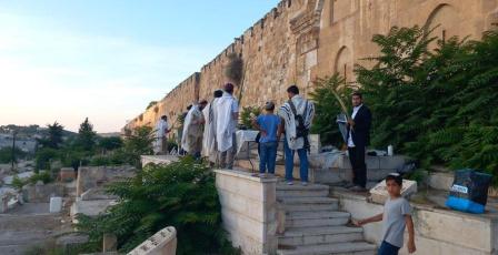مستوطنون يدنسون مقبرة باب الرحمة المحاذية للمسجد الأقصى