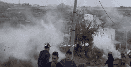 مستوطنون يستولون على مركبة ويسرقون زيتون ومعدات زراعية في عين يبرود