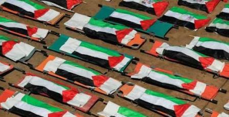 اليونيسف: الاحتلال قتل أكثر من 340 طفلا في غزة منذ بدء وقف إطلاق النار