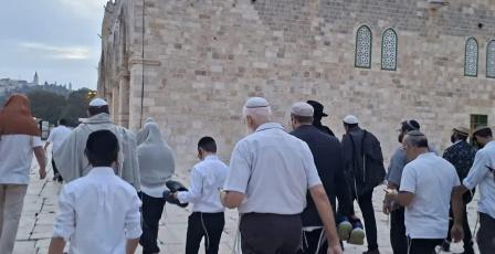 مستوطنون يقتحمون المسجد الأقصى