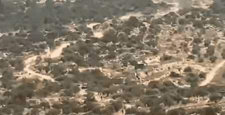 إصابات بالاختناق جراء هجوم للمستوطينن على مواطنين ونشطاء أجانب في بيت عور التحتا