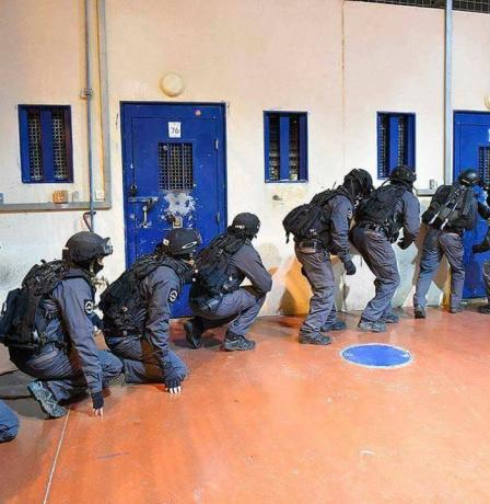 7 عمليات قمع بحق الأسيرات في سجن الدامون خلال 21 يوما
