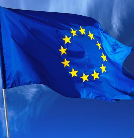 الاتحاد الأوروبي: قرار إنشاء أكثر من 30 مستوطنة بالضفة غير قانوني ويقوض فرص السلام