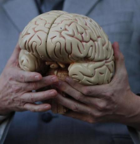 "الدماغ مصنع لا يتوقف".. عالمة تشرح لماذا يستحيل فهمه بالكامل