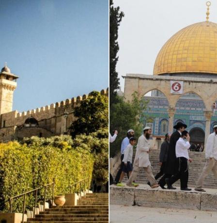 الأوقاف: الاحتلال اقتحم الأقصى 27 مرة ومنع الأذان 96 وقتاً في الحرم الإبراهيمي خلال أكتوبر