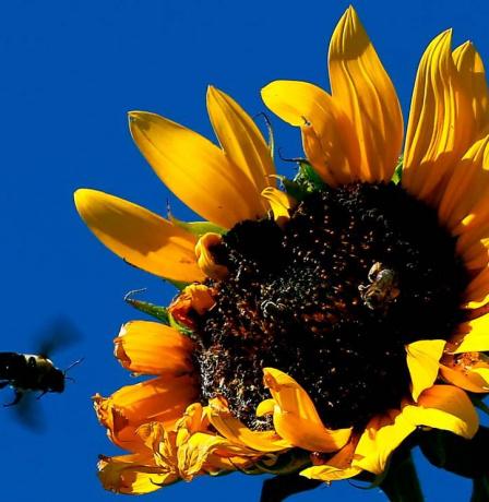 الطقس: ارتفاع على درجات الحرارة