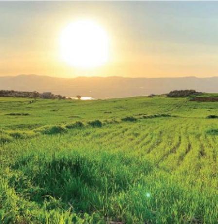 الطقس: أجواء شديدة الحرارة