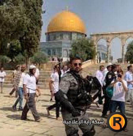 1059 مستوطنًا اقتحموا المسجد الأقصى خلال أسبوع