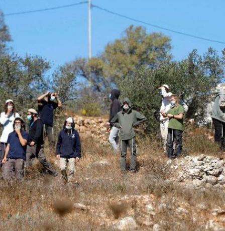 خاص| تصاعد الاستيطان الرعوي في الأغوار.. تهجير أربع تجمعات وتضييق يومي يدفع عائلات للرحيل