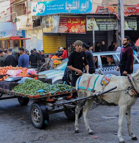 الإحصاء: انخفاض مؤشر غلاء المعيشة في فلسطين بنسبة 0.40% خلال الشهر الماضي