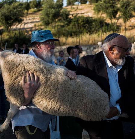 محافظة القدس تحذّر من محاولات مستوطنين إدخال القرابين إلى الأقصى