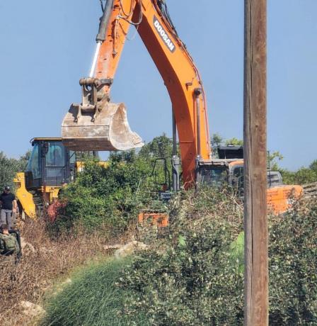 الاحتلال يقتلع أشجار زيتون قرب بلدة عرابة جنوب جنين