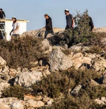 الضفة تشهد أعلى معدل لاعتداءات المستوطنين.. خبير لراية: الأمر لم يعد عشوائيًا