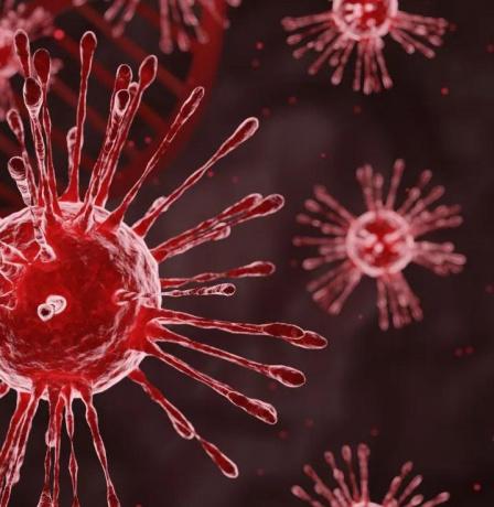 “الصحة الإسرائيلية” تعلن تسجيل أول حالة اشتباه بالإصابة بفيروس إيبولا