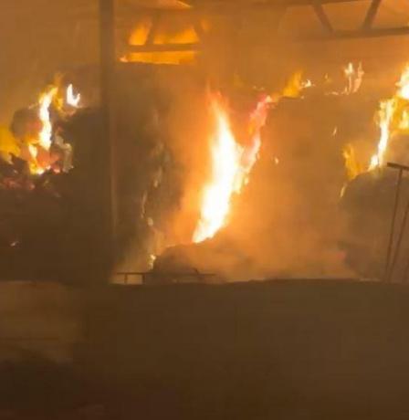 مستوطنون يحرقون خياما في منطقة الميتة بالأغوار الشمالية