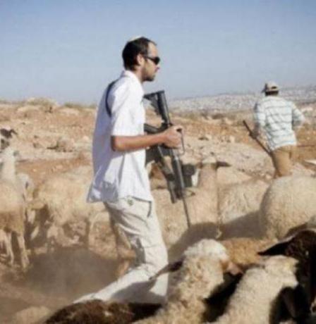 القدس.. مستوطنون يسرقون عشرات الأغنام من مواطنين في بيت إكسا