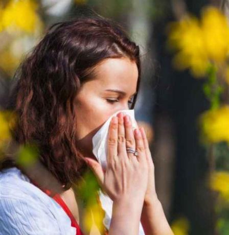 خاص| حساسية الربيع.. الأسباب وطرق الوقاية مع د. سمير شماسنة