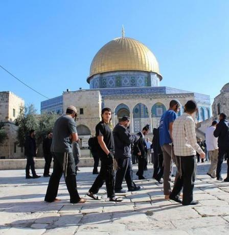 خاص| النصف الأول من 2025 الأخطر على القدس والمسجد الأقصى