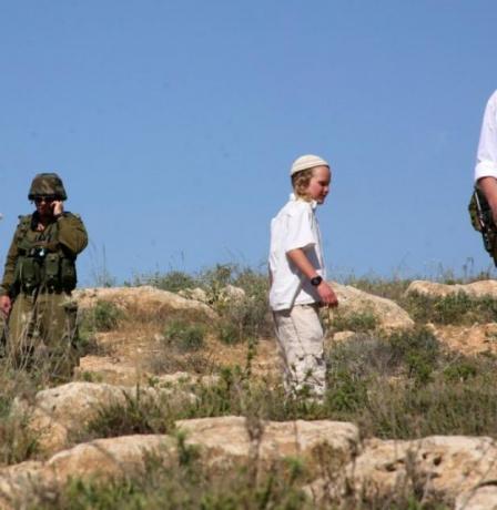 مستوطنون يعتدون على عمّال وقاطفي زيتون في بيت دقّو شمال غرب القدس