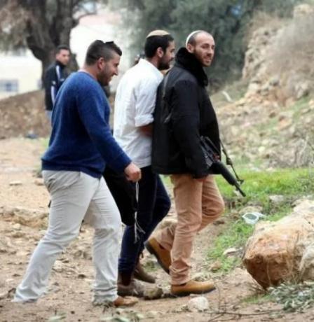 تمهيدا للاستيلاء عليها: مستعمرون يسيجون أراضي في الفارسية بالأغوار الشمالية