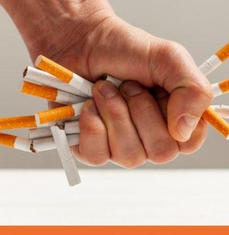 النيكوتين.. مرة أخرى 