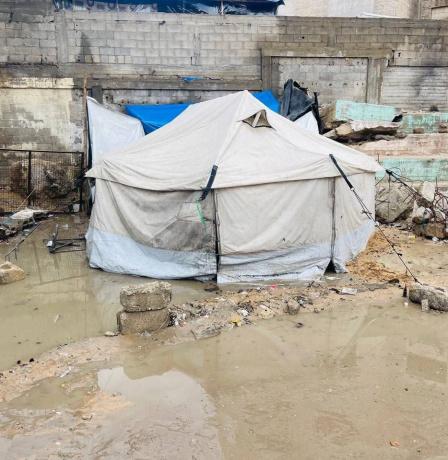 غزة: شهيدة برصاص الاحتلال وتحذيرات من كارثة على النازحين