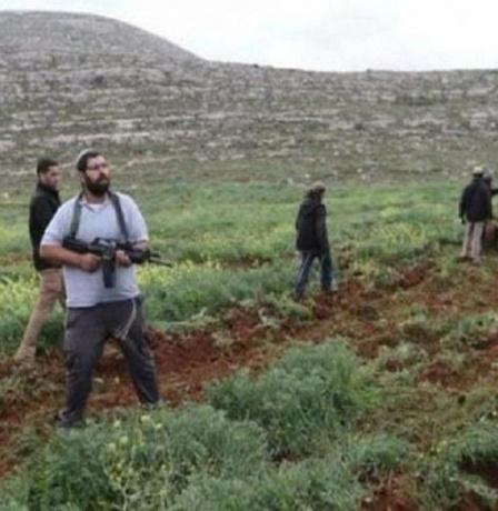 الجدار والاستيطان: 1965 اعتداء نفذها الجيش والمستوطنون في شباط الماضي