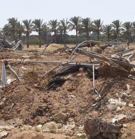 غرفة العمليات الحكومية تستعرض خطة وزارة الزراعة للتعافي وإعادة الإعمار في قطاع غزة