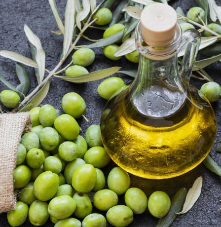 خاص| الذهب الأخضر في مواجهة التغيرات المناخية… نصائح علمية لحماية زيت الزيتون وجودته