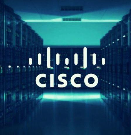 سيسكو تتعرض لأكبر هبوط منذ 2022.. ما البسبب؟