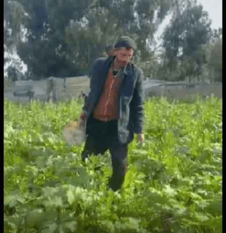 خاص| بين الدمار والأمل… مزارع غزي يعيد الحياة لأرضه