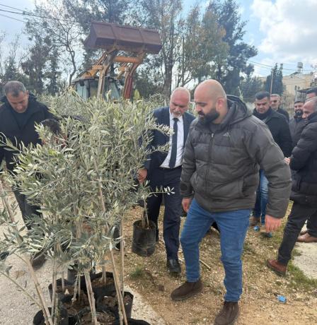 "الزراعة": توزيع 565 شجرة زيتون لصالح 14 مزارعاً من صوريف وبيت أمر وبني نعيم