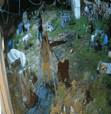 مستوطنون يصيبون مسنة وأولادها ويسرقون 30 رأسا من الأغنام شرق الخليل