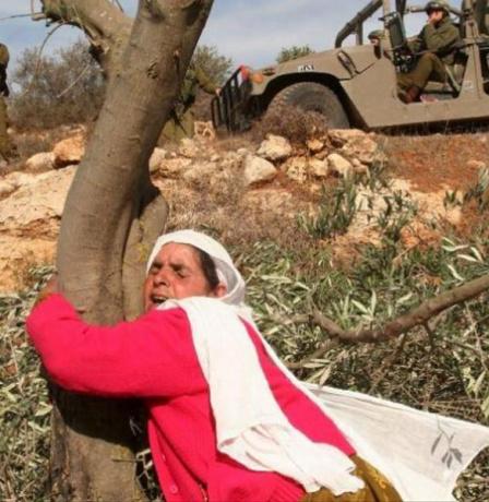 شؤون المرأة: في يوم الأرض تتجذر المرأة الفلسطينية كأرضها صامدة وحارسة للهوية والوجود