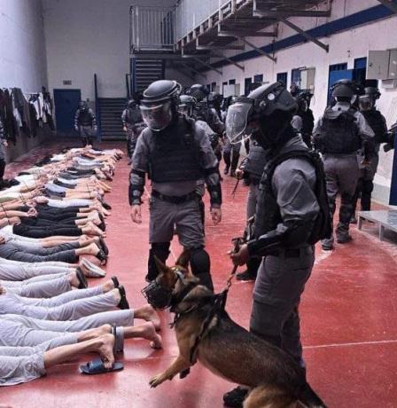 الهيئة المستقلة لحقوق الإنسان تدين إقرار قانون إعدام الأسرى