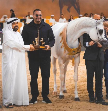 الخيول الفلسطينية تحقق إنجازا رياضيا في بطولة دبي الدولية للجواد العربي 2026