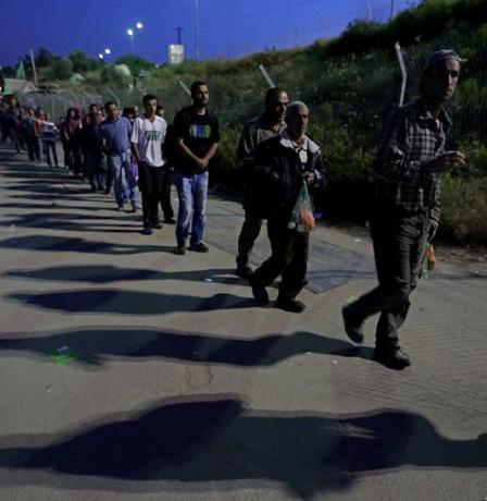 الإحصاء: ارتفاع معدلات البطالة في قطاع غزة والضفة خلال 2025