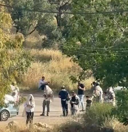 فيديو| لليوم الثاني: مستعمرون يؤدون طقوساً تلمودية عند مدخل سنجل شمال رام الله