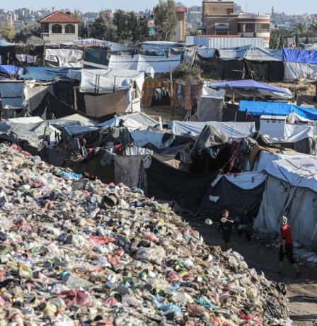 في يوم البيئة العالمي: وزارة شؤون المرأة تستعرض واقع النساء الفلسطينيات في مواجهة التدهور البيئي