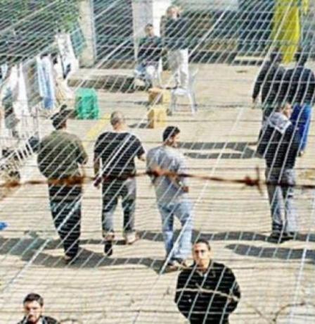 نداء عاجل لـ"الصحة العالمية" للتدخل إزاء تفشي مرض الجرب بين الأسرى الفلسطينيين