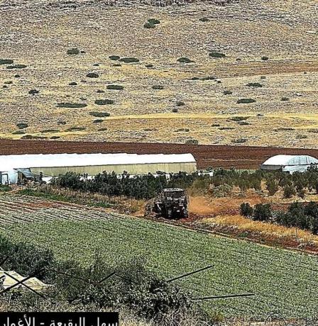 "سلة غذاء فلسطين" تحت المقصلة: الاحتلال يقتطع 70% من أراضي عاطوف وطمون
