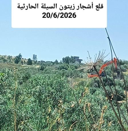 توثيق سجلات وزارة الزراعة لانتهاكات الاحتلال بحق القطاع الزراعي