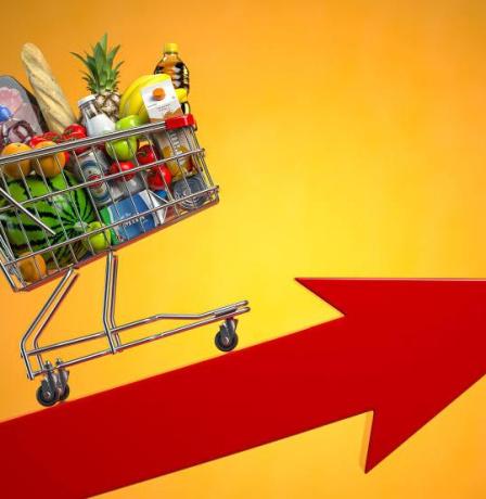 الفاو: ارتفاع أسعار الغذاء عالميا 2.2% على أساس سنوي