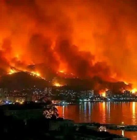 حصيلة حرائق الجزائر: 100 مصاب و150 منزلا مدمرا